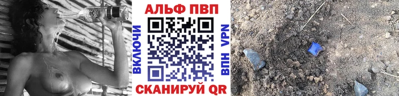 A PVP СК  Новочеркасск 